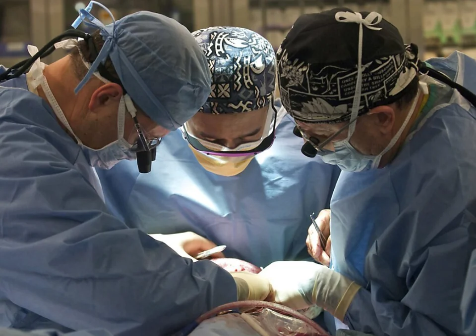 MÉDICOS FAZEM TRANSPLANTE DE CORAÇÃO DE PORCO EM PACIENTE NOS EUA