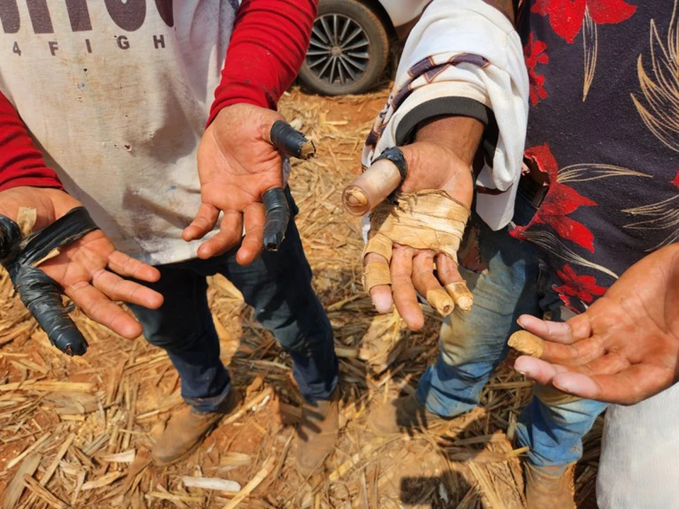 TRABALHADORES EM SITUAÇÃO ANÁLOGA À ESCRAVIDÃO SÃO RESGATADOS EM GOIÁS