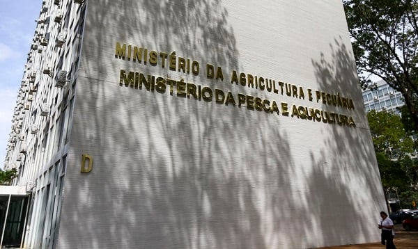 MINISTÉRIO DA AGRICULTURA CONFIRMA MAIS 2 CASOS DE GRIPE AVIÁRIA EM AVES SILVESTRES; TOTAL SOBE PARA 137