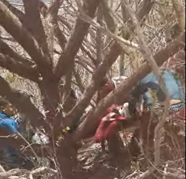 [ VÍDEO ] PILOTO DE PARAPENTE SOFRE ACIDENTE NO MUNICÍPIO DE SÍTIO NOVO