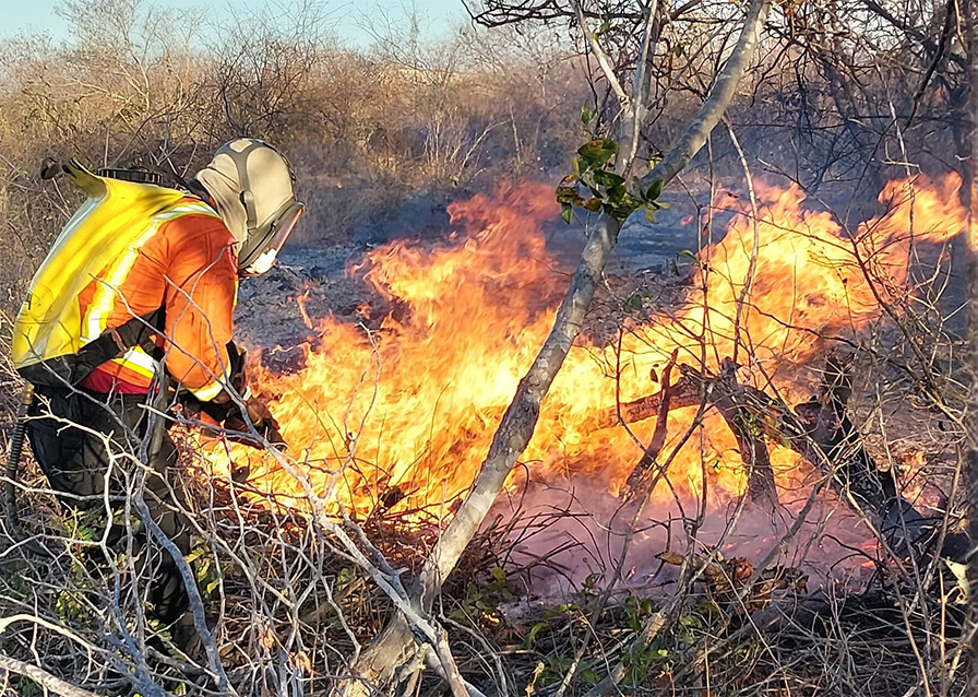INCÊNDIOS EM VEGETAÇÃO CRESCEM 62,4% NA GRANDE NATAL