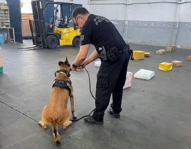 PF APREENDE MACONHA ENVIADA VIA POSTAL PARA RN; DROGA SERIA DISTRIBUÍDA EM NATAL E CAICÓ