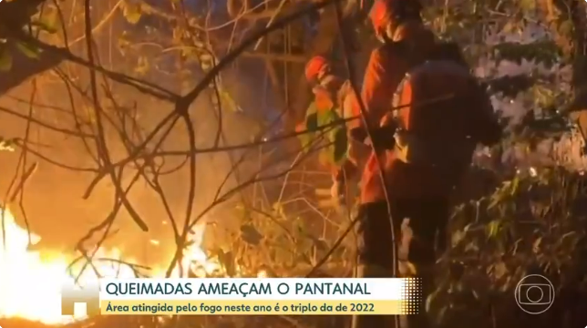 PANTANAL JÁ REGISTRA UM MILHÃO DE HECTARES QUEIMADOS EM 2023