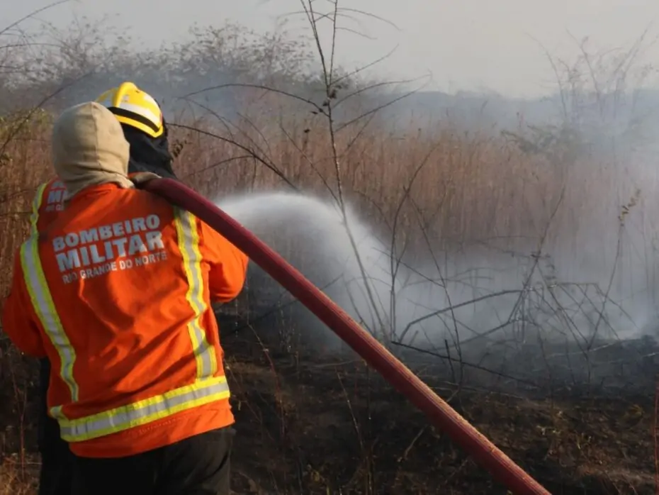 RN TEM ALTA DE 32% NO NÚMERO DE INCÊNDIOS EM VEGETAÇÃO EM 2023, APONTA CORPO DE BOMBEIROS