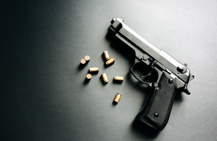 COMISSÃO DA CÂMARA APROVA PROJETO QUE DÁ PODER AOS ESTADOS PARA LEGISLAREM SOBRE POSSE E PORTE DE ARMAS DE FOGO