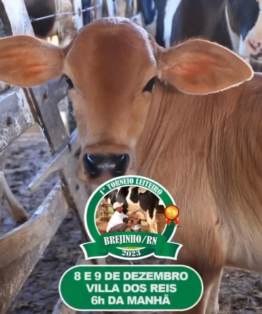 COMEÇA NESTA SEXTA-FEIRA O 1º TORNEIO LEITEIRO EM BREJINHO, NO AGRESTE POTIGUAR