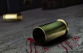 NÚMERO DE ASSASSINATOS DEVE SER CERCA DE 6% MENOR QUE EM 2022