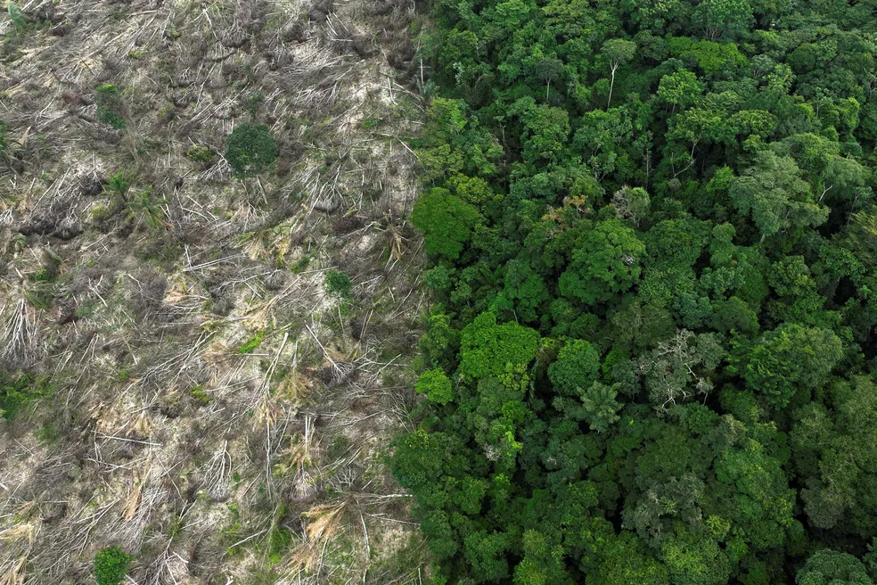 DESMATAMENTO CAI PELA METADE NA AMAZÔNIA, MAS SOBE 43% NO CERRADO