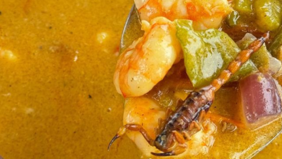CANTORA ENCONTRA ESCORPIÃO EM COMIDA DE  RESTAURANTE NO LITORAL SUL DO RN