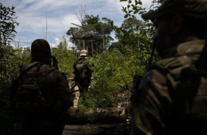 CRIMES CONTRA FLORA DOBRAM NA AMAZÔNIA DE JANEIRO A DEZEMBRO DE 2023, DIZ IBAMA