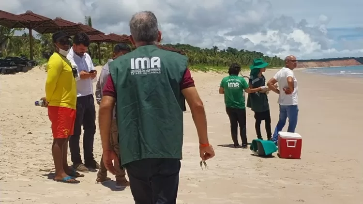 ‘MARÉ VERMELHA’: MAIS DE 500 PESSOAS SÃO INTOXICADAS EM PRAIAS DO NORDESTE