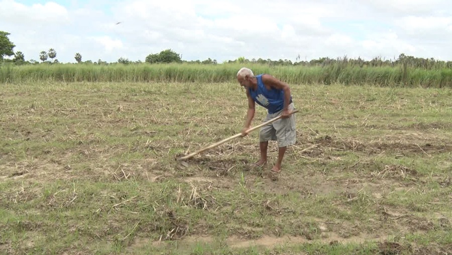 AGRICULTORES DO RN AGUARDAM O DIA DE SÃO JOSÉ NA ESPERANÇA DE CHUVAS