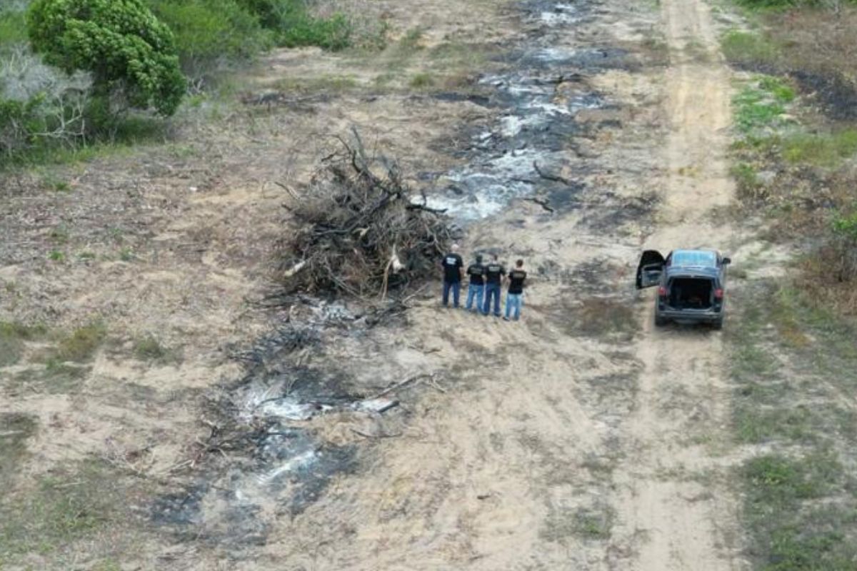 EMPRESÁRIOS SÃO INDICIADOS POR PROMOVER DESMATAMENTO EM MUNICÍPIO DO AGRESTE POTIGUAR