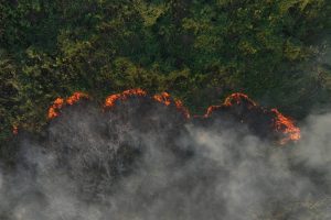 ÁREA QUEIMADA NO PANTANAL EM 2024 JÁ É 54% MAIOR DO QUE EM ANO DE DESTRUIÇÃO RECORDE