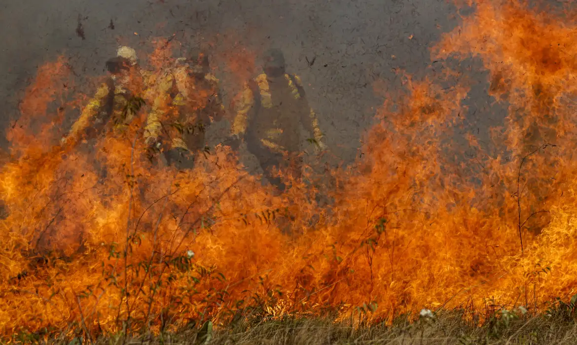 PANTANAL ACUMULA EM 12 MESES MAIS DE 9 MIL FOCOS DE INCÊNDIO