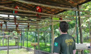 GREVE DO IBAMA NO RIO GRANDE DO NORTE COMEÇA HOJE