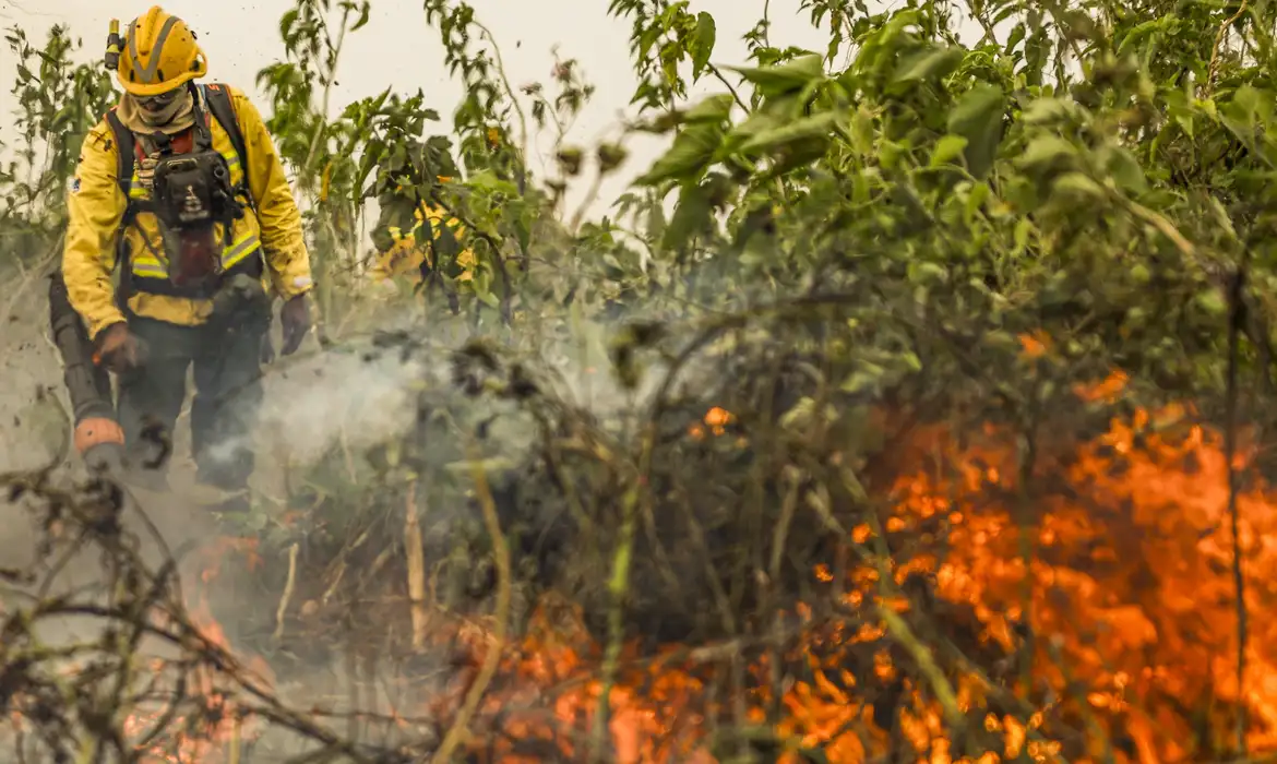 BRASIL JÁ REGISTROU MAIS DE 154 FOCOS DE CALOR ESTE ANO