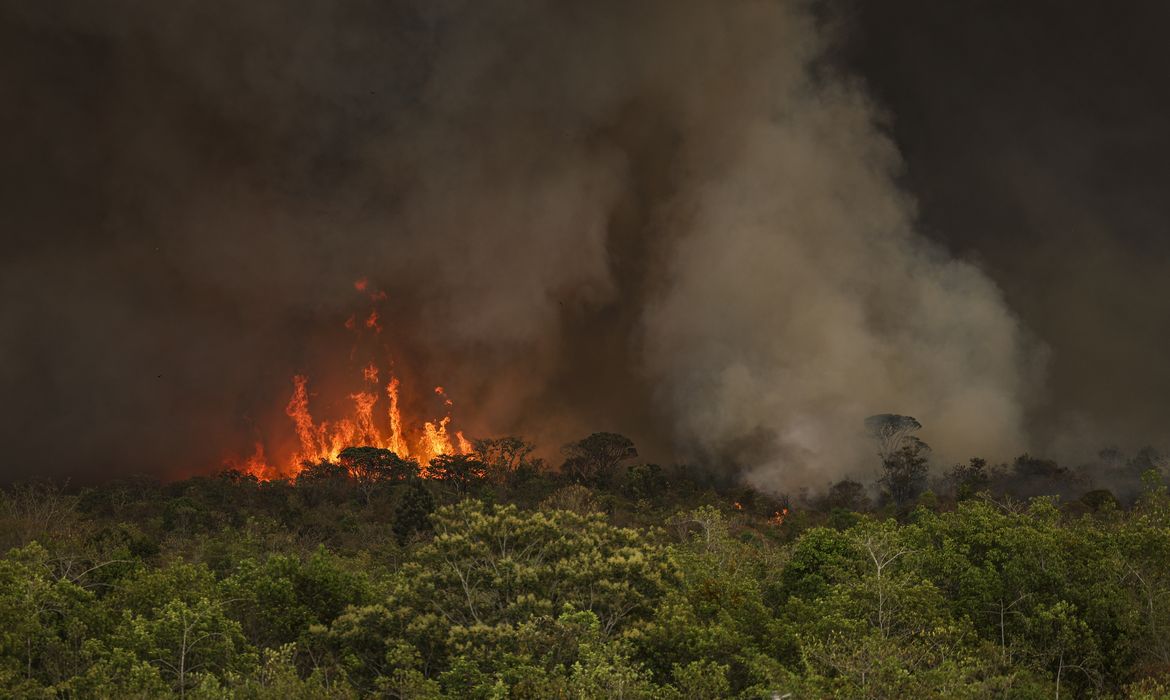 INCÊNDIOS PODEM TER AFETADO MAIS DE 11 MILHÕES DE PESSOAS NO BRASIL