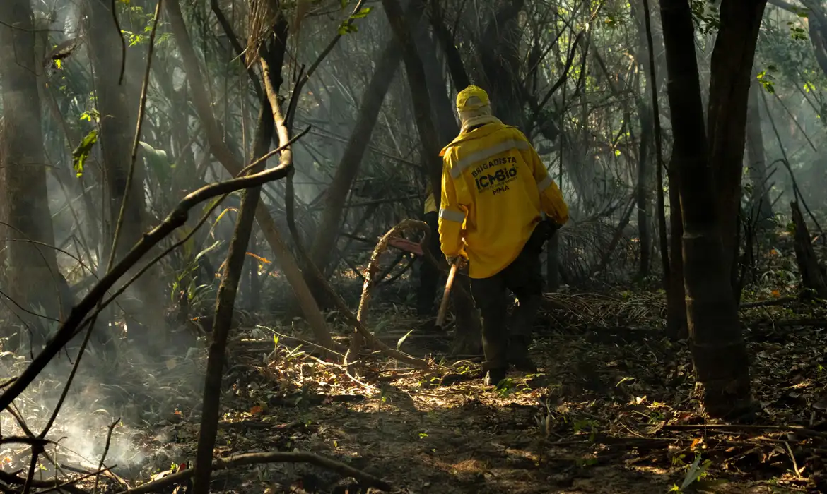 AMAZÔNIA TEM O MAIOR NÚMERO DE QUEIMADAS E INCÊNCIO S EM 17 ANOS