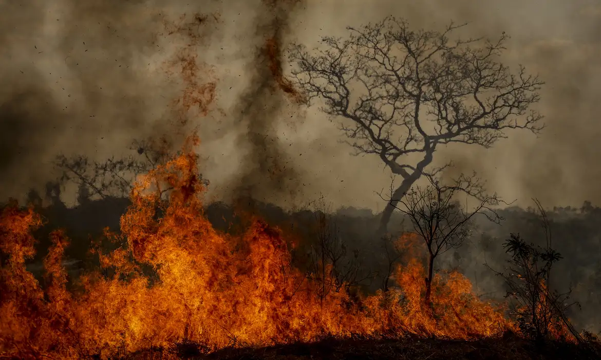 DESASTRES CLIMÁTICOS AUMENTARAM 250% NOS ÚLTIMOS QUATRO ANOS