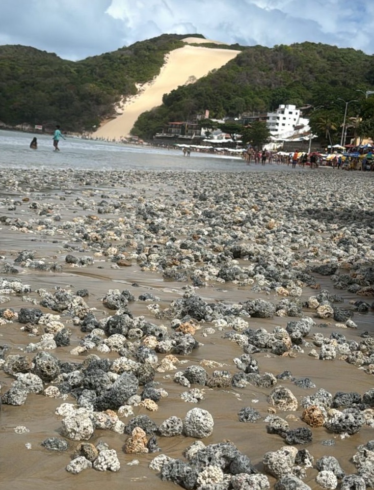 MATERIAL SEMELHANTE A CORAIS APARECE NA AREIA DA PRAIA DE PONTA NEGRA E PREOCUPA BANHISTAS