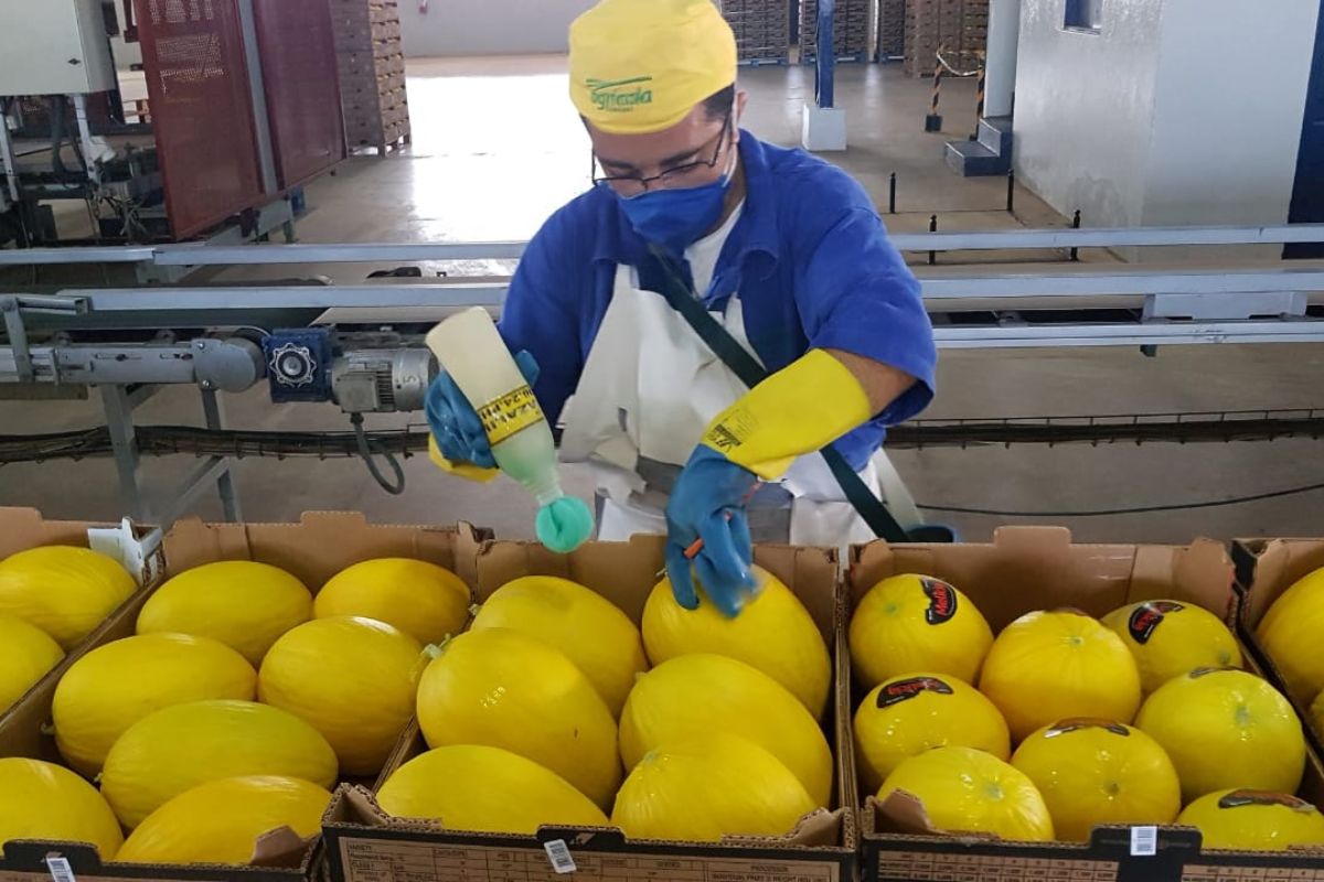 EXPORTAÇÕES DO RN CRESCEM 42,6% EM 2024 E ATINGEM VOLUME RECORDE DE UR$ 1,7 BILHÃO