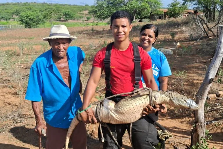 JACARÉ É RESGATADO POR CORPO DE BOMBEIROS NA ZONA RURAL DE SANTA CRUZ