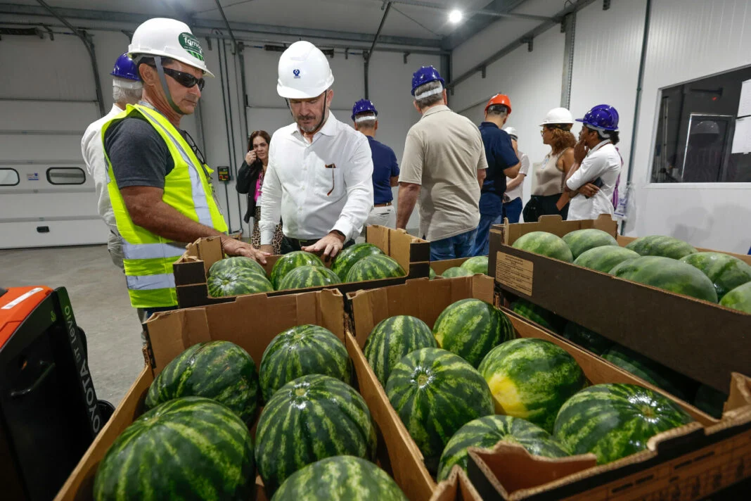 EXPORTAÇÕES DO RN CRESCEM 250% EM UMA DÉCADA E ATINGEM RS$ 1,1 BILHÃO