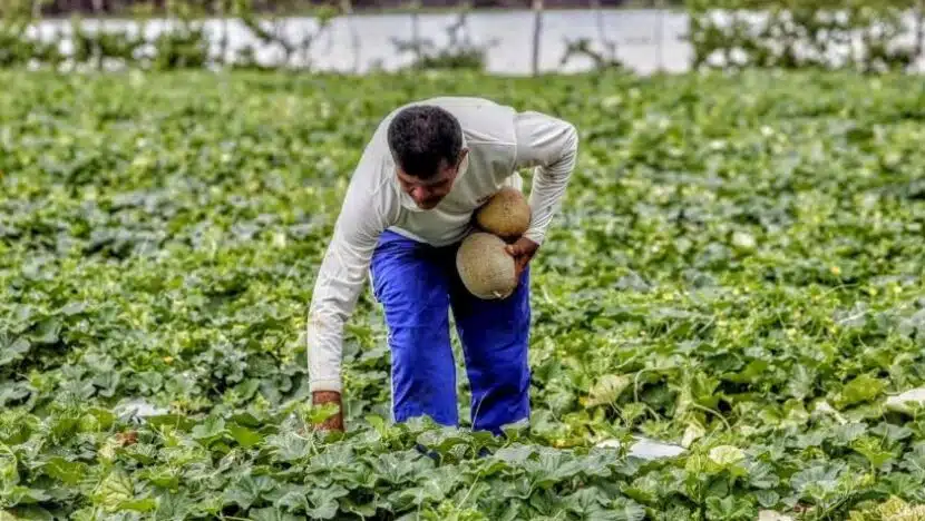 APÓS COBRANÇA DE AGRICULTORES, GOVERNO DO RN PAGA 1ª PARCELA DO GARANTIA SAFRA