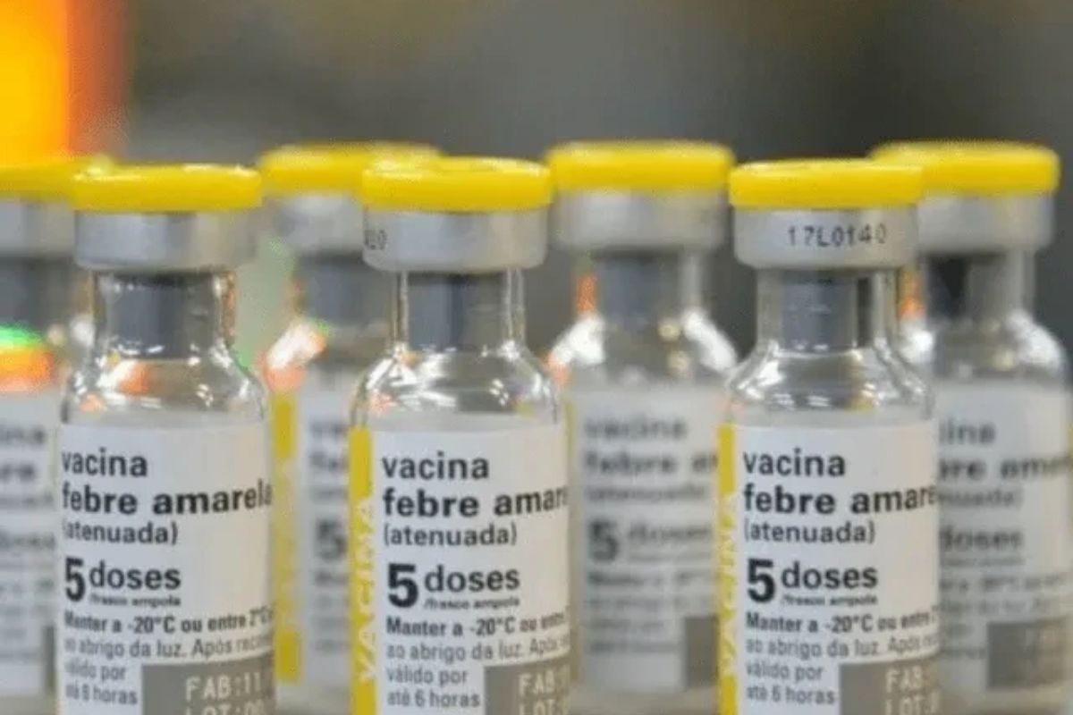 FEBRE AMARELA: NOVO TRATAMENTO CONTRA DOENÇA PODE REDUZIR RISCO DE MORTE EM ATÉ 84%