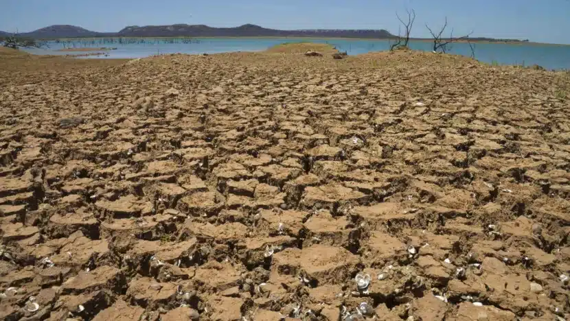 GOVERNO FEDERAL RECONHECE SITUAÇÃO DE EMERGÊNCIA POR SECA EM TRÊS CIDADES DO RN