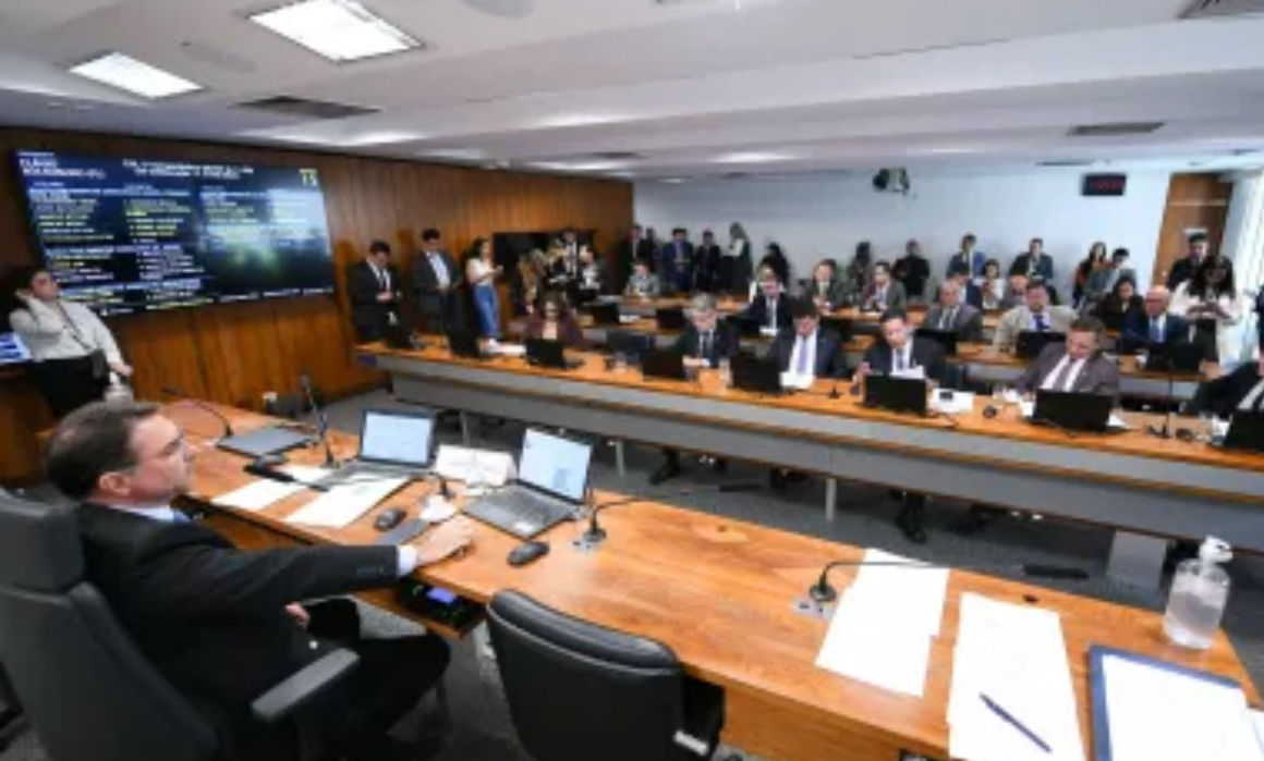 COMISSÃO DO SENADO APROVA PORTE DE ARMA PARA ADVOGADOS