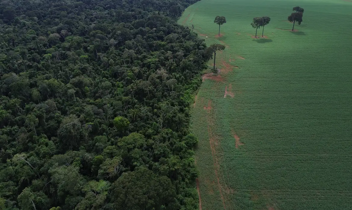 TRÓPICOS REGISTRAM PERDA RECORDE DE FLORESTA PRIMÁRIA