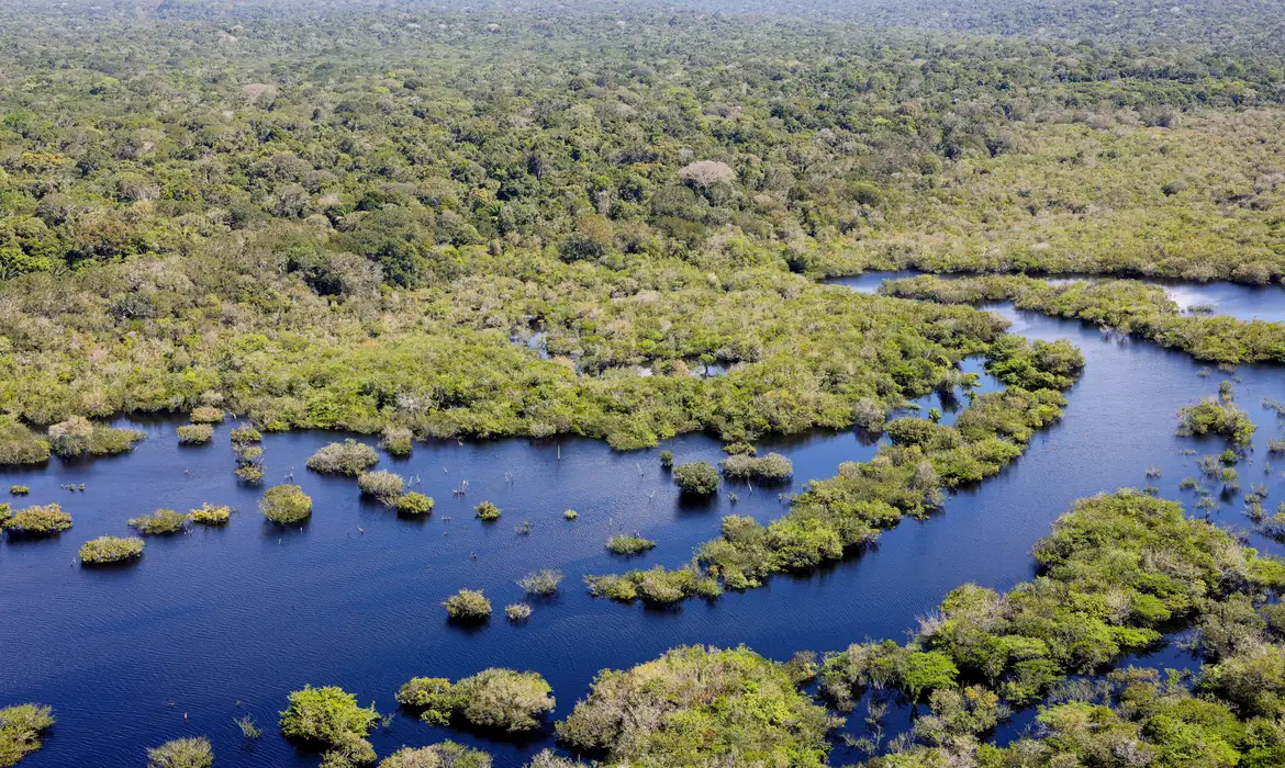 DESMATAMENTO NO BRASIL CAIU 32,4% EM 2024