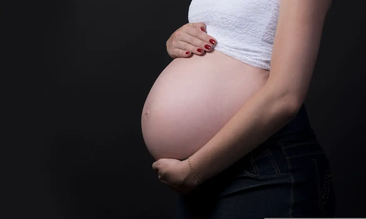 BRASILEIRAS ESTÃO TENDO MENOS FILHOS E ADIAM MATERNIDADE, DIZ CENSO