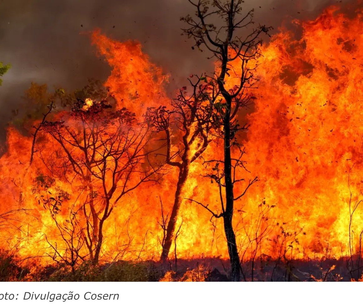 A TEMPORADA DE VENTOS PODE CAUSAR QUEIMADAS PRÓXIMAS À REDE ELÉTRICA, ALERTA COSERN