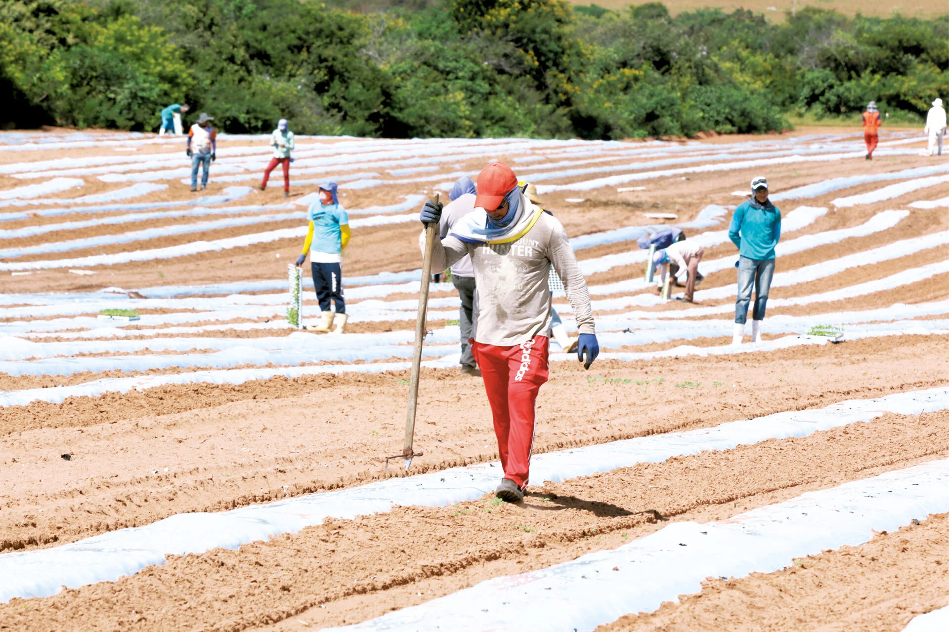 RIO GRANDE DO NORTE CRIA 1.763 EMPREGOS EM JUNHO