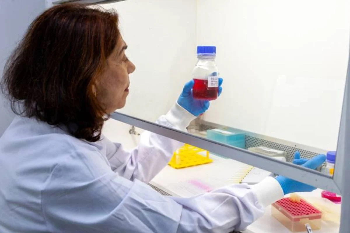 BUTANTAN DESENVOLVE ANTICORPO CONTRA ZIKA PARA PROTEGER GRÁVIDAS