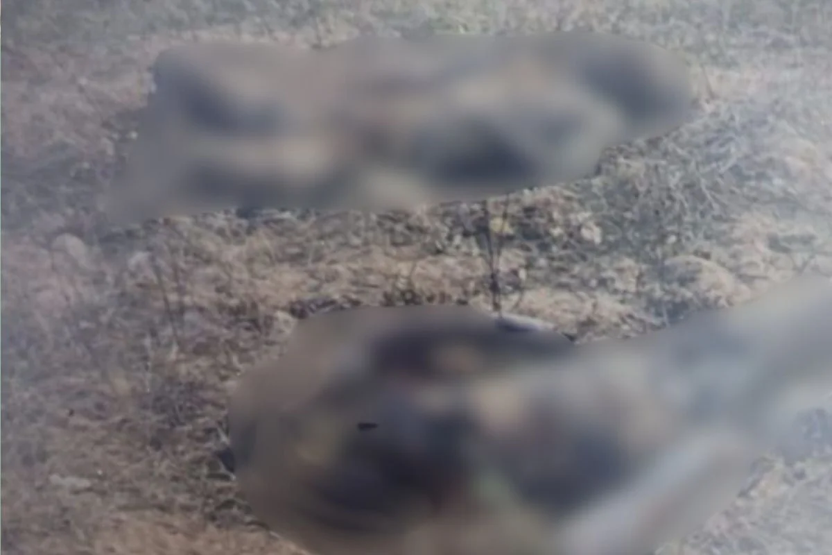 DOIS CORPOS CARBONIZADOS SÃO ENCONTRADOS NA ZONA RURAL DE CAMPO REDONDO, RN