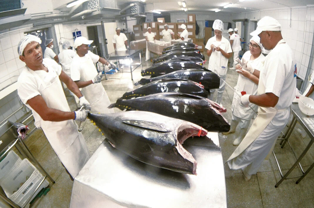 EXPORTAÇÕES DE PESCADO DO RN PARA OS EUA DESPENCAM 80%