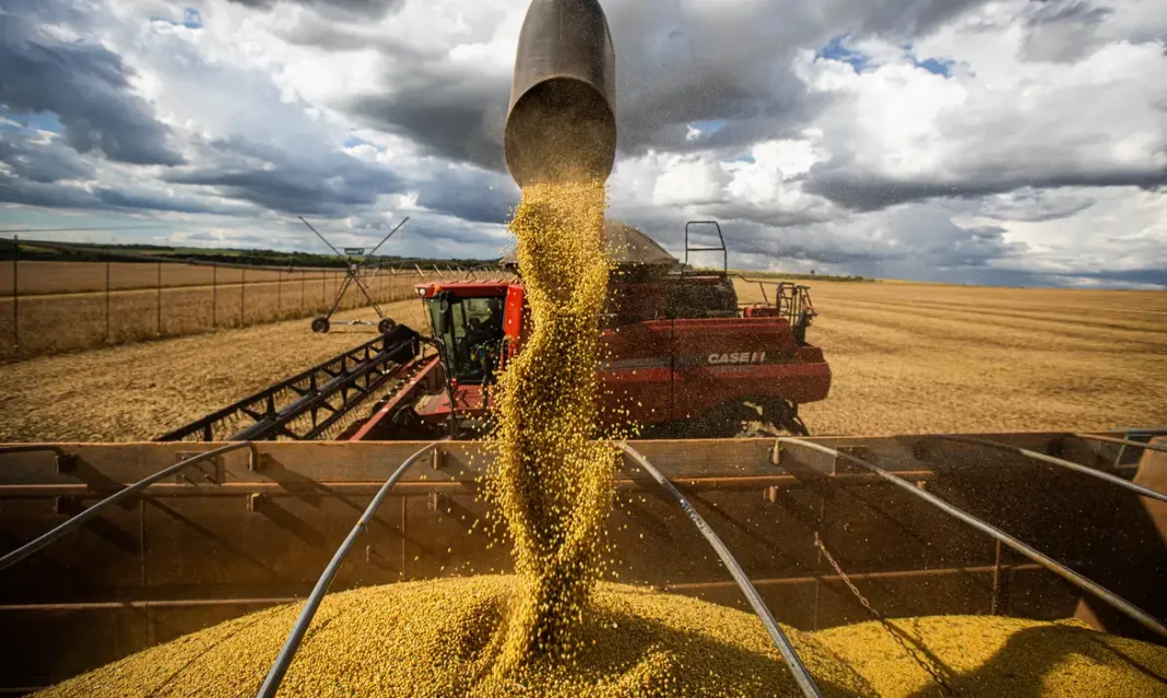 QUEDA NOS PREÇOS DOS ALIMENTOS VAI PERMANECER, DIZ MINISTRO