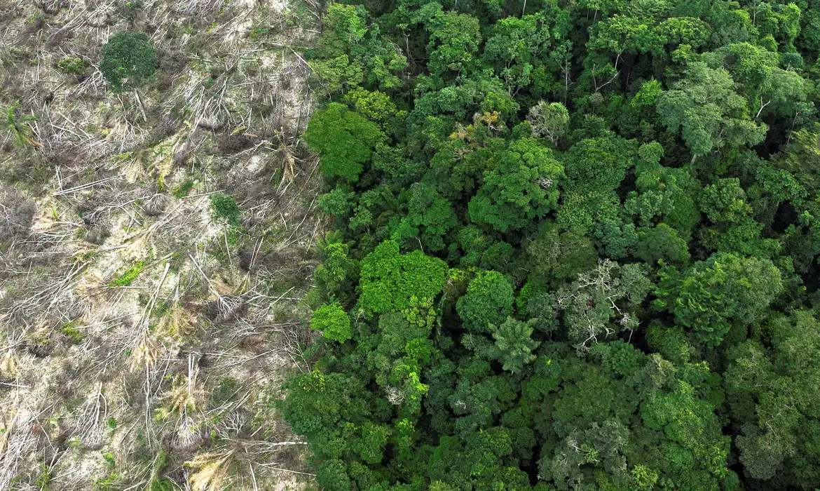 EM 40 ANOS, AMAZÔNIA PERDEU ÁREA DE VEGETAÇÃO DO TAMANHO DA FRANÇA