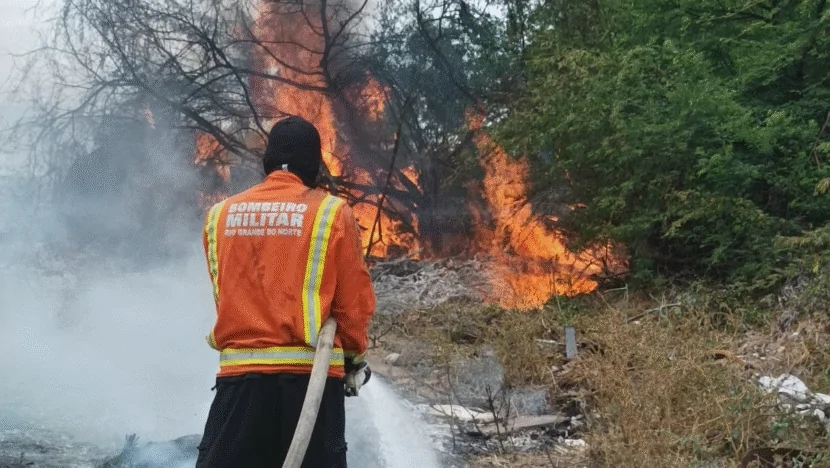 BOMBEIROS ATENDEM NOVE OCORRÊNCIAS DE INCÊNDIOS EM VEGETAÇÃO EM TRÊS DIAS NO INTERIOR DO RN
