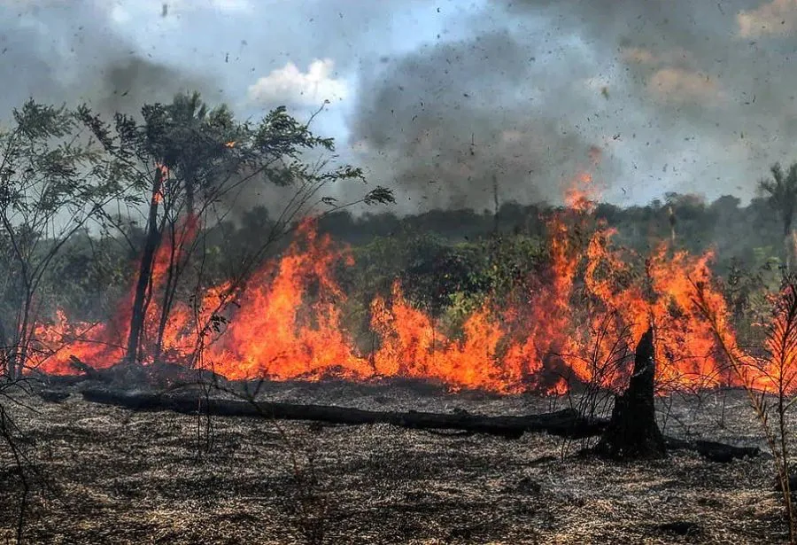 SESAP ALERTA PARA RISCOS À SAÚDE DURANTE TEMPORADA DE QUEIMADAS NO RN