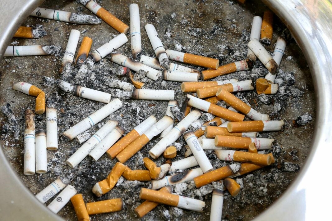 TABAGISMO AINDA AFETA 20% DOS ADULTOS DO MUNDO, APONTA OMS