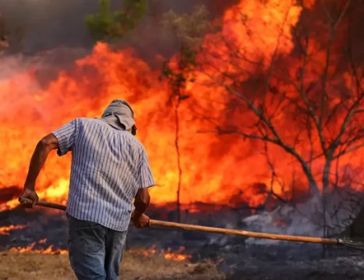 QUEIMADAS DISPARAM NO RN: INCÊNDIOS CRESCEM 52% E FUMAÇA JÁ LOTA HOSPITAIS