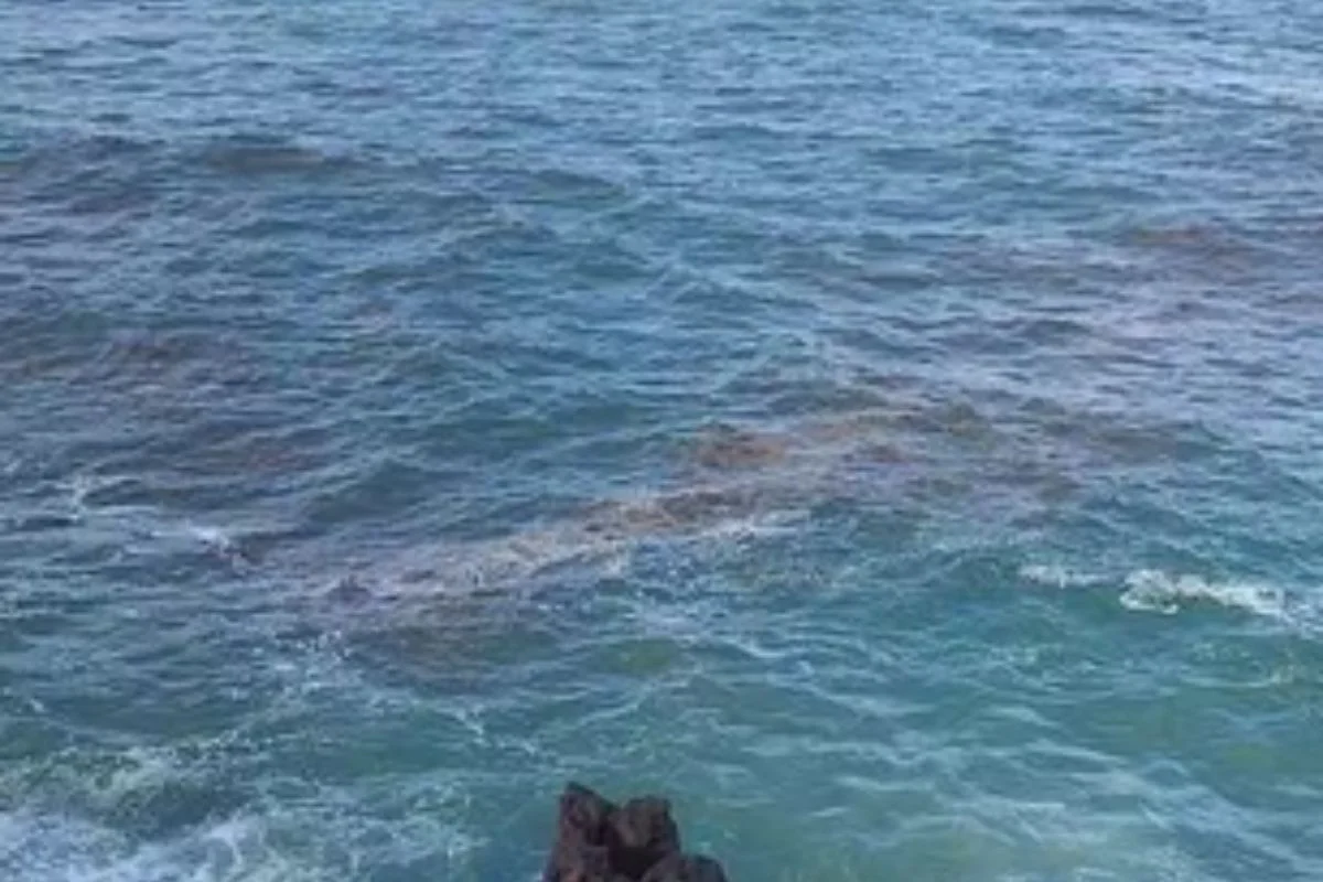 IBAMA ACOMPANHA MANCHAS NO LITORAL DO RIO GRANDE DO NORTE