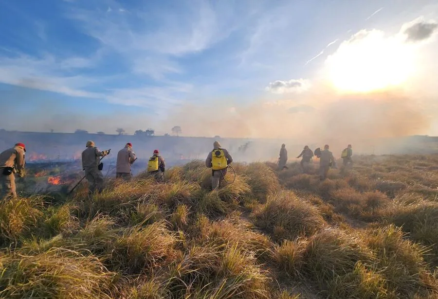BOMBEIROS COMBATEM INCÊNDIO DE GRANDES PROPORÇÃO EM VEGETAÇÃO NA REGIÃO DE MONTE ALEGRE
