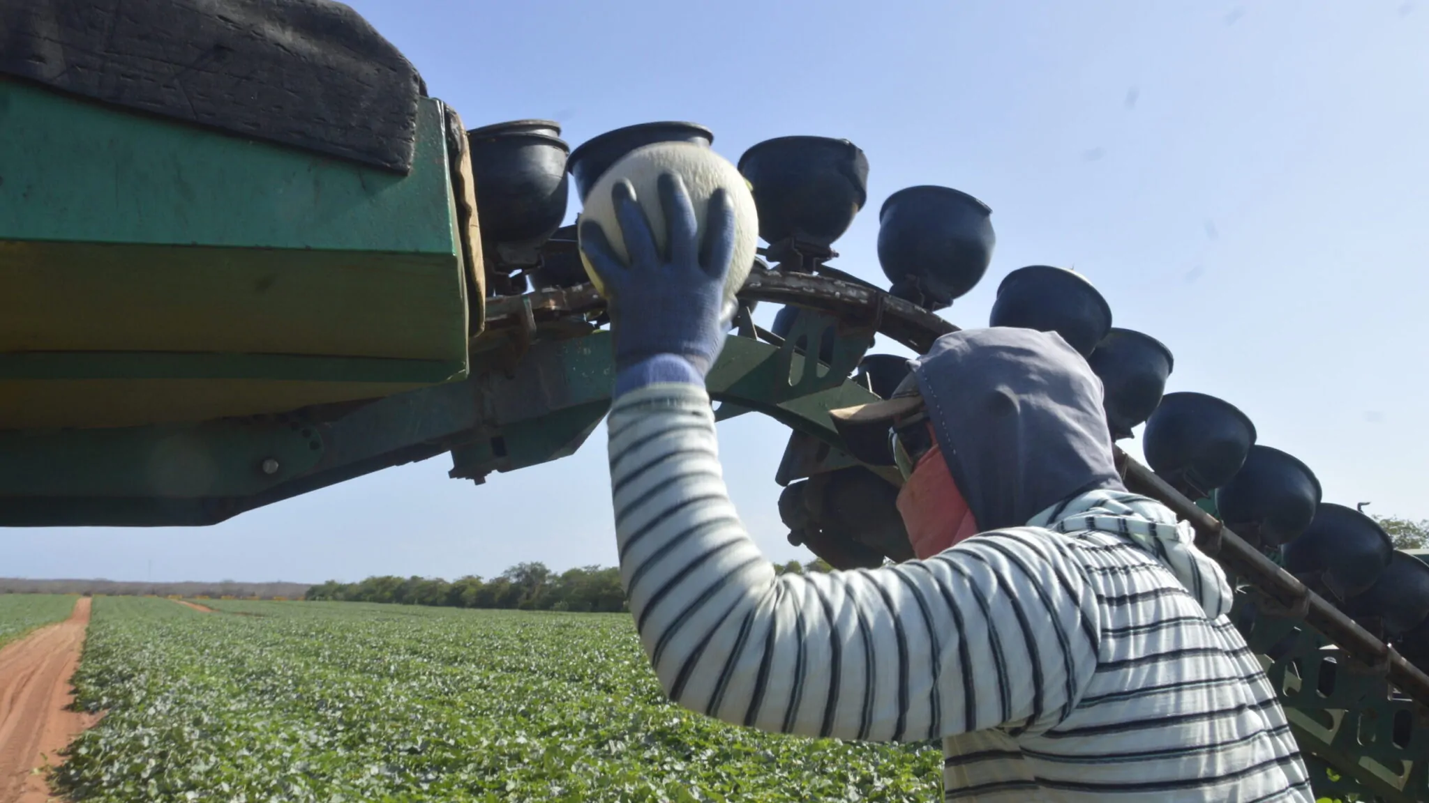 NO RN, SEGURANÇA HÍDRICA E LOGÍSTICA IMPULSIONAM EXPANSÃO INÉDITA DO AGRO