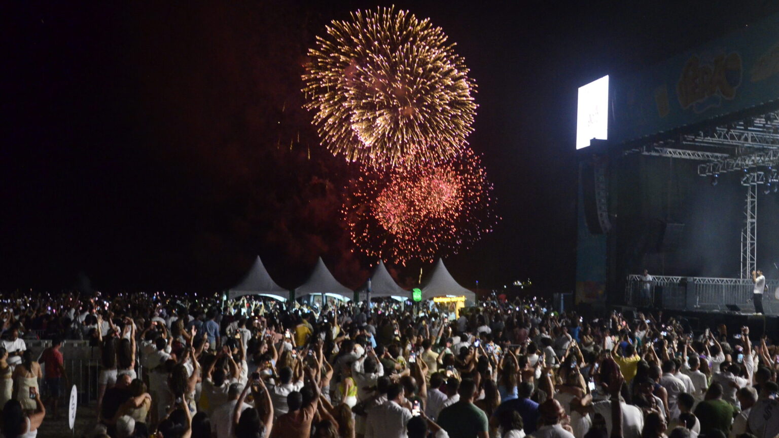 FOGOS DE ARTIFÍCIO COM BARULHO PROVOCAM SOFRIMENTO EM AUTISTAS, IDOSOS E ANIMAIS